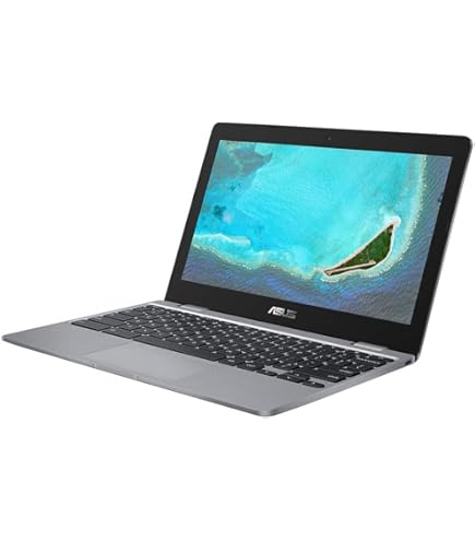 Amazon.co.jp: ASUS Chromebook Flip C101PA シルバー 10.1型